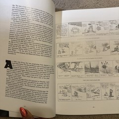Krazy Kat : The Art of George Herriman by Patrick Mcdonnell, Georgia R. De…