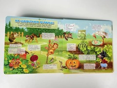 Большая книга загадок с окошками