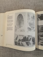 Upper Carboniferous Fossil Flora Nova Scotia Paleobotany Museum Monograph 1980