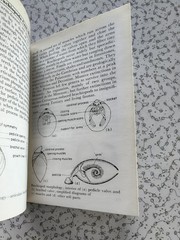The Observer’s Book of Fossils by Rhona M. Black 1977 First Edition Hardback
