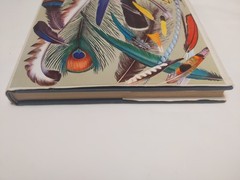 World of Birds James Fisher Roger Tory Peterson Vintage Bird book Hardcover