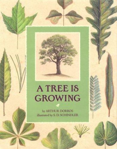 A Tree Is Growing by Arthur Dorros