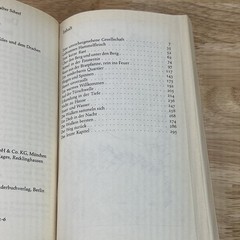 Der kleine Hobbit J. R. R. Tolkien DTV Taschenbuch 1974 German Print Vintage