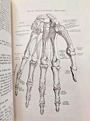 GRAY’S ANATOMY by Henry Gray Deluxe Collectible Bonded Leather *NEW SEALED*