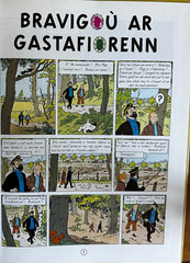 TINTIN Hergé Bravigou Ar Gastafiorenn