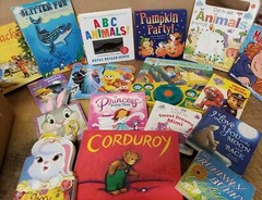 Instant Little FREE Library BOOKs~Value Lot~U PICK GENRE Mix~Fiction/Nonfiction