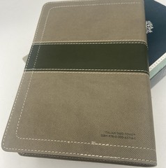 NIV, Student Bible, Compact, Leathersoft, Gray/Green Lay Flat Design