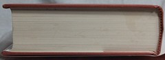 Los Mestenos • Spanish Ranching in Texas 1721–1821 (Jack Jackson•1997•HCDJ)