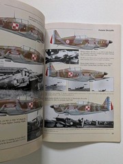 Polish Wings 2 Morane MS 406 C1 Caudron CR 714 C1 Cyclone Bloch MB Belcarz