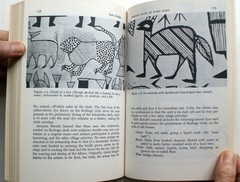 INTO INDIGO by Claire Polakoff 1st Ed 1st Printing Anchor Press Doubleday [420]
