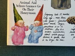 Gnomes by Poortvliet Huygen 1977 1st Edition HCDJ Hardcover DJ Vintage 70s Retro