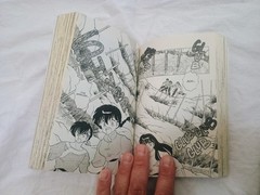 Ranma 1/2 (2-in-1 Edition) Vols 18 & 19 (35, 36 & 37, 38) by Rumiko Takahashi