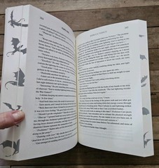 🐲 Fourth Wing 1st Printing Limited Edition Paperback Full Sprayed Dragon Edges