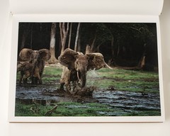 The Last Place On Earth Michael Nichols 2 Volume Box Set
