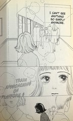VIZ: Set of 14 Boys Over Flowers by Hana Yori Dango 2000s Mangas [Missing #14]