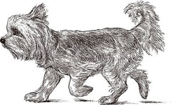 Dogs coloring book for all ages Pets Series 108 Pages 8.5 x 11 for All Ages