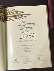 Healing Plants of the Bible HC – History Lore Meditations Spiritual Herbal Guide