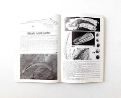 Fossil Sharks: a pictorial review by Gerard R. Case 1973 Signed 1st Printing