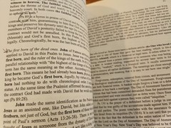 The Book of Revelation, Paperback 2005, George Wesley Buchanan