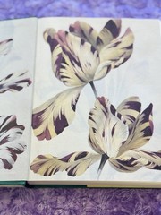 The Tulip | by Anna Pavord | First U.S. Edition | 1999 HC/DJ | Botanical History