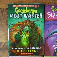 90s/2000’s Lot of 14 Scholastic (4) 1st Printing Goosebumps Books RL Stine