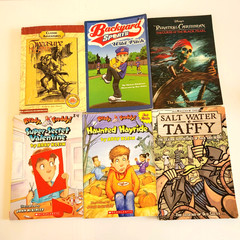 Boys 3rd/4th/5th/6th Grade Chapter Books Lot of 42 Homeschool PB Scholastic