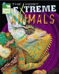 Animal Planet The Most Extreme Animals – Hardcover By Discovery Channel – GOOD