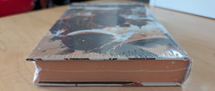 The Poet Empress Shen Tao – Illumicrate Exclusive Hardcover Sprayed Edges Sealed