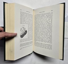 Cellular Pathology by Rudolph Virchow (The Classics of Medicine Library) 1978