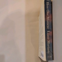 Here One Moment A Novel – VERY GOOD