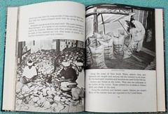 Australia 1966 Hardcover 112 Pages Great Photos And Content – 1960’s Australia