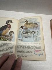 Vintage 1930s Lot Of Bird Identification Bird Watching Books