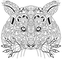 Raccoon and Friends Coloring Book 108 Pages 8.5 x 11 for All Ages