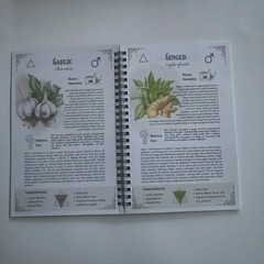 The Amish Natural Family Herbs Handbook The Characteristics And Effects