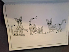Cat Coloring -32 Spring-Inspired Designs-Relaxing & Inspirational Adult Coloring