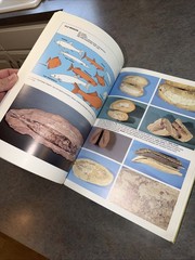 Santana Fossils: An Illustrated Atlas By Maisey Hardcover Cretaceous Fish Plants