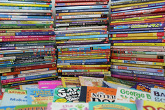 Bulk/Huge Lot of 100 of Children’s Kids Chapter Books – Random – Free Shipping!