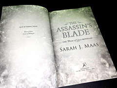 The ASSASSIN’S BLADE by Sarah J Maas – 2014 Bloomsbury HBDJ, 1st Ed 1st Printing
