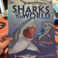 Dover Publications Sharks of the World Paperback Coloring Book by Llyn Hunter