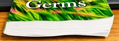 Natural Cures for Killer Germs Dr. Cass Ingram Paperback Acceptable