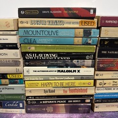 Lot of 38 Classic Paperback Literature Book Mix Signet Bantam Dante Dickens…