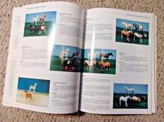 BREYER ANIMAL COLLECTOR’S GUIDE Horse Animals Collector Collection 1998