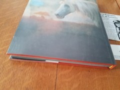 Signed The Unicorn of Kilimanjaro by Robert Vavra 1988 1st Edition Hardcover