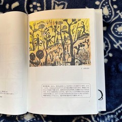 Keisuke Anko Woodblock Illustration Book 2003 Shibisha 61 Pages A4 Size