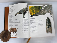 RARE „The Illustrated Encyclopedia of the Prehistoric World” 512 Pgs 9 X 11.5″