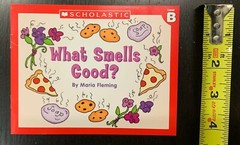 Childrens Books Leveled Readers Level A B C D PreK Kindergarten 1st Grade Lot 60