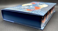 FairyLoot August 2024 YA Box: The Girl With No Reflection by Keshe Chow