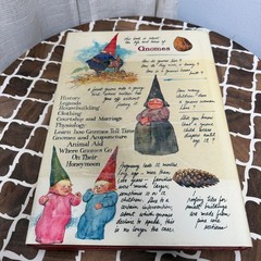 Gnomes Book Wil Huygen Rien Poortvliet Illustrated Hardcover 1977 First Edition