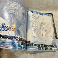 Final Fantasy X Official Strategy Guide (Brady Games) NO Poster