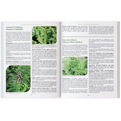 The Lost Book of Herbal Remedies (paperback with color pictures)